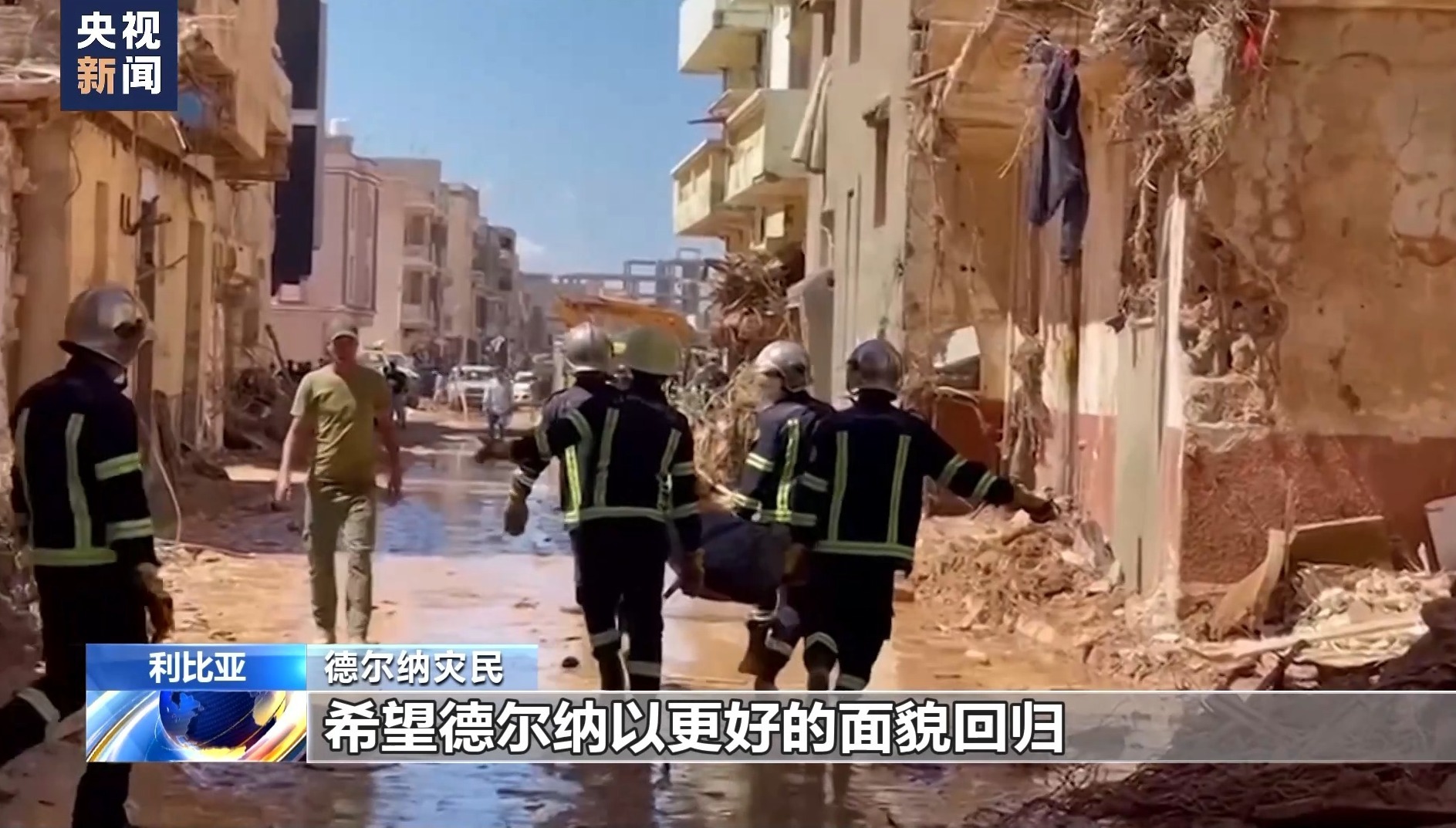 马来西亚佰利集团